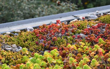 the cost of Isle Of Anglesey green roof installation