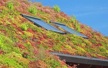 Isle Of Anglesey living roof systems